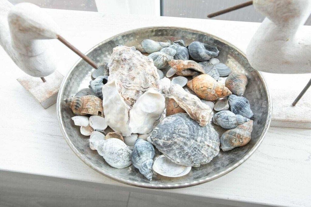 Eine Metallschale mit verschiedenen Muscheln und Kieselsteinen auf einer weißen Oberfläche.