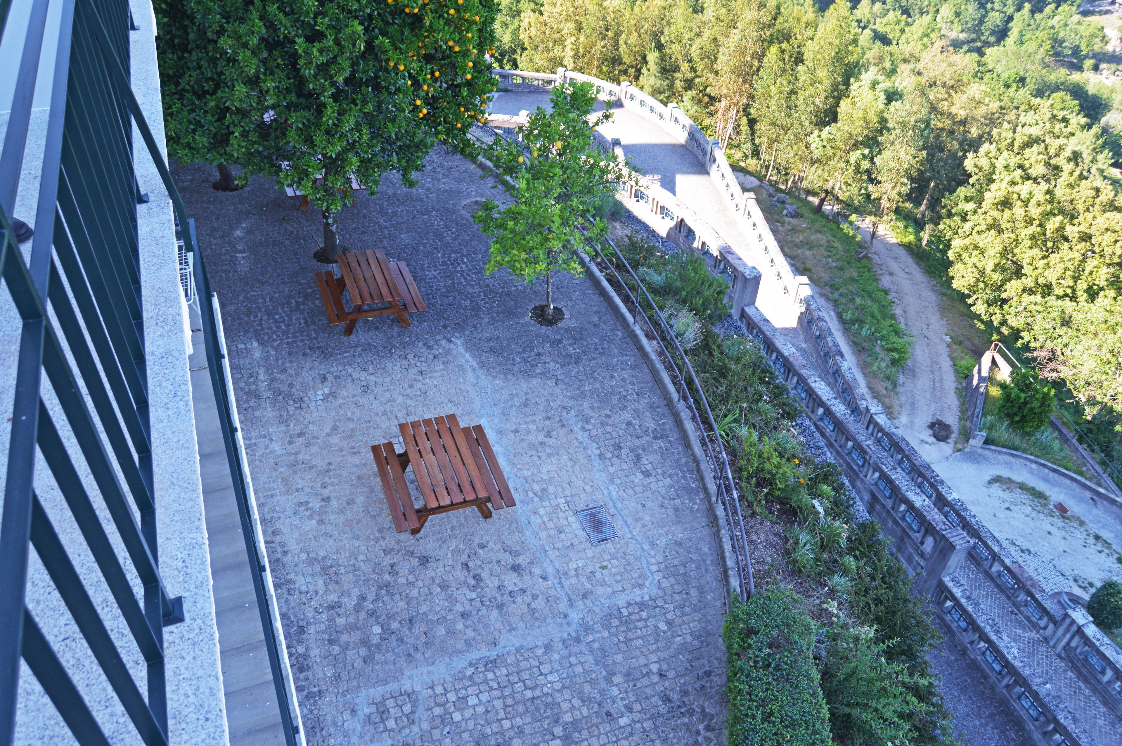 A courtyard with a paved area, two wooden benches, and a small tree.
