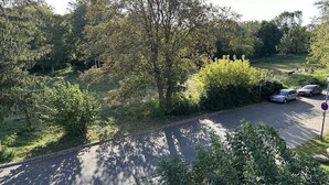 Ein Parkplatz mit Autos, einer Straße und umliegender Bepflanzung.