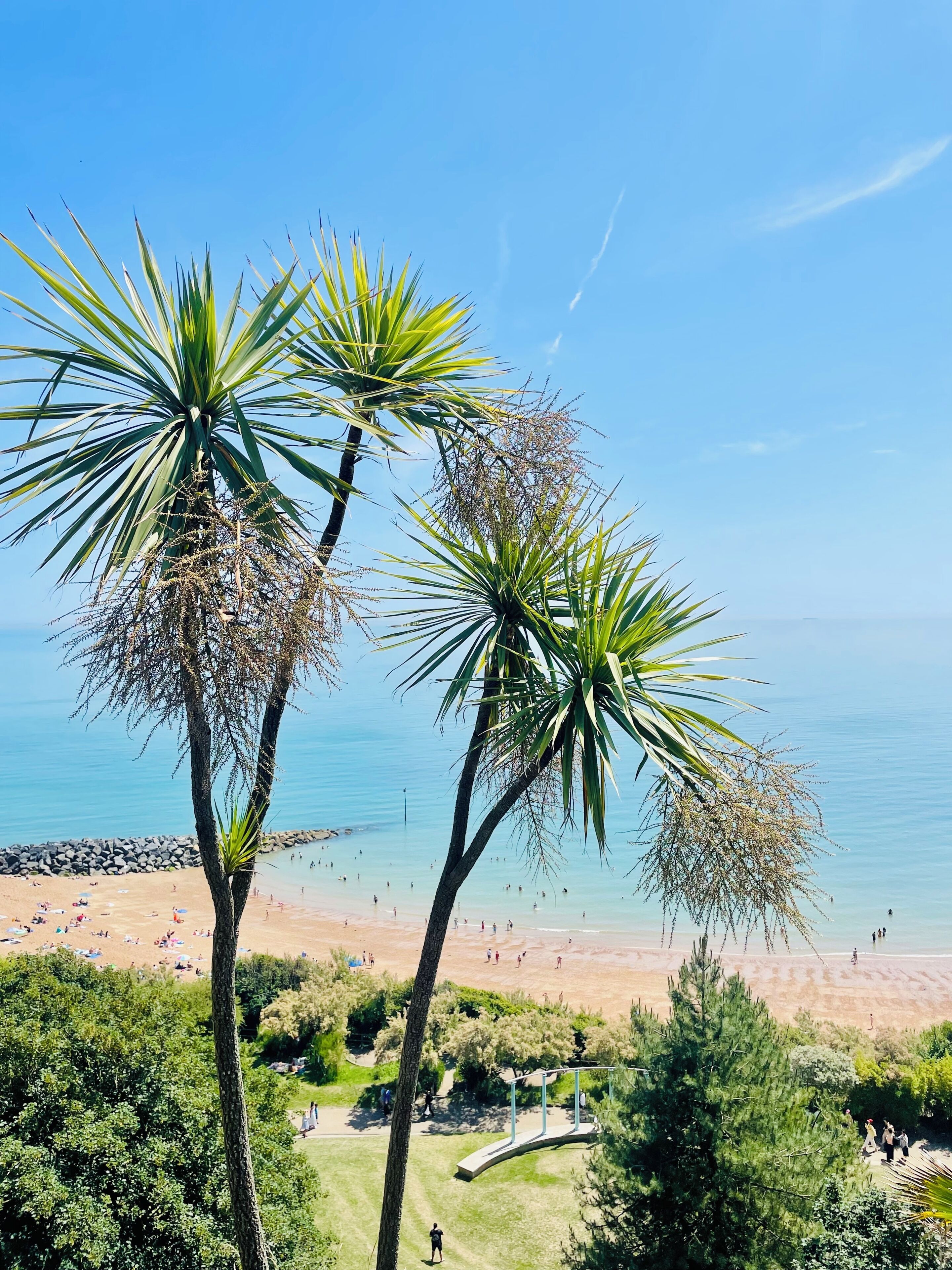 Une plage bordée de palmiers, offrant une vue dégagée sur l’océan.