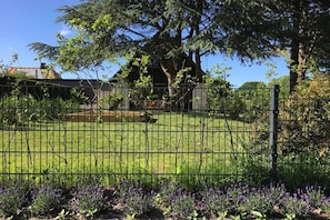 A fenced yard with a house in the background, surrounded by trees and a clear sky. - Holiday home with 3 bedrooms (Döhnsdorf)
