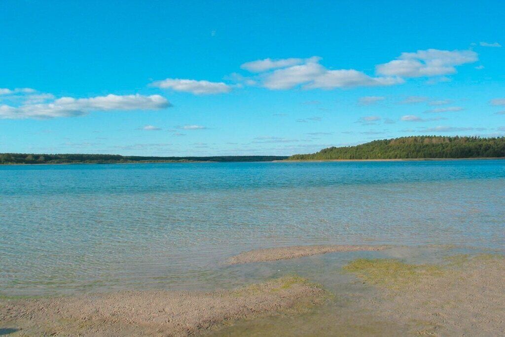 Vista clara d'un llac amb riba boscosa i cel serè.