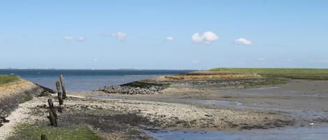 A coastal landscape with a sandy beach, grassy areas, and a clear sky.