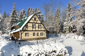 A traditional chalet with a steep roof, surrounded by snow-covered trees. - Holiday home with 3 bedrooms (Auerbach OT Grünheide)