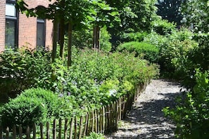 Un sendero en un jardín con valla de madera, rodeado de arbustos y plantas diversas.