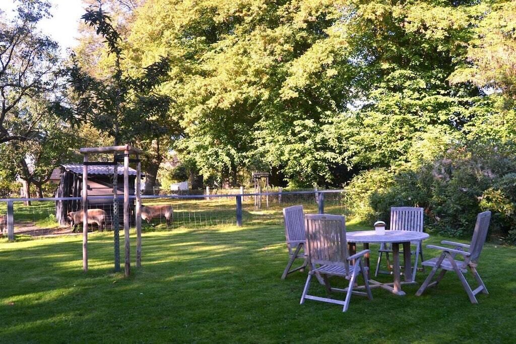 Un espace extérieur clos, aménagé avec une table et des chaises, une structure en bois et des arbres.