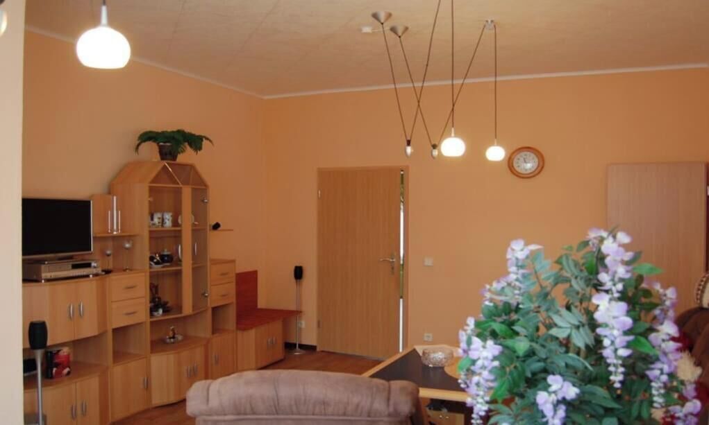 Un salon avec un téléviseur, des meubles en bois, une plante et une porte.