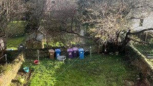 Un jardín con césped, una valla, un árbol y varios contenedores de basura.
