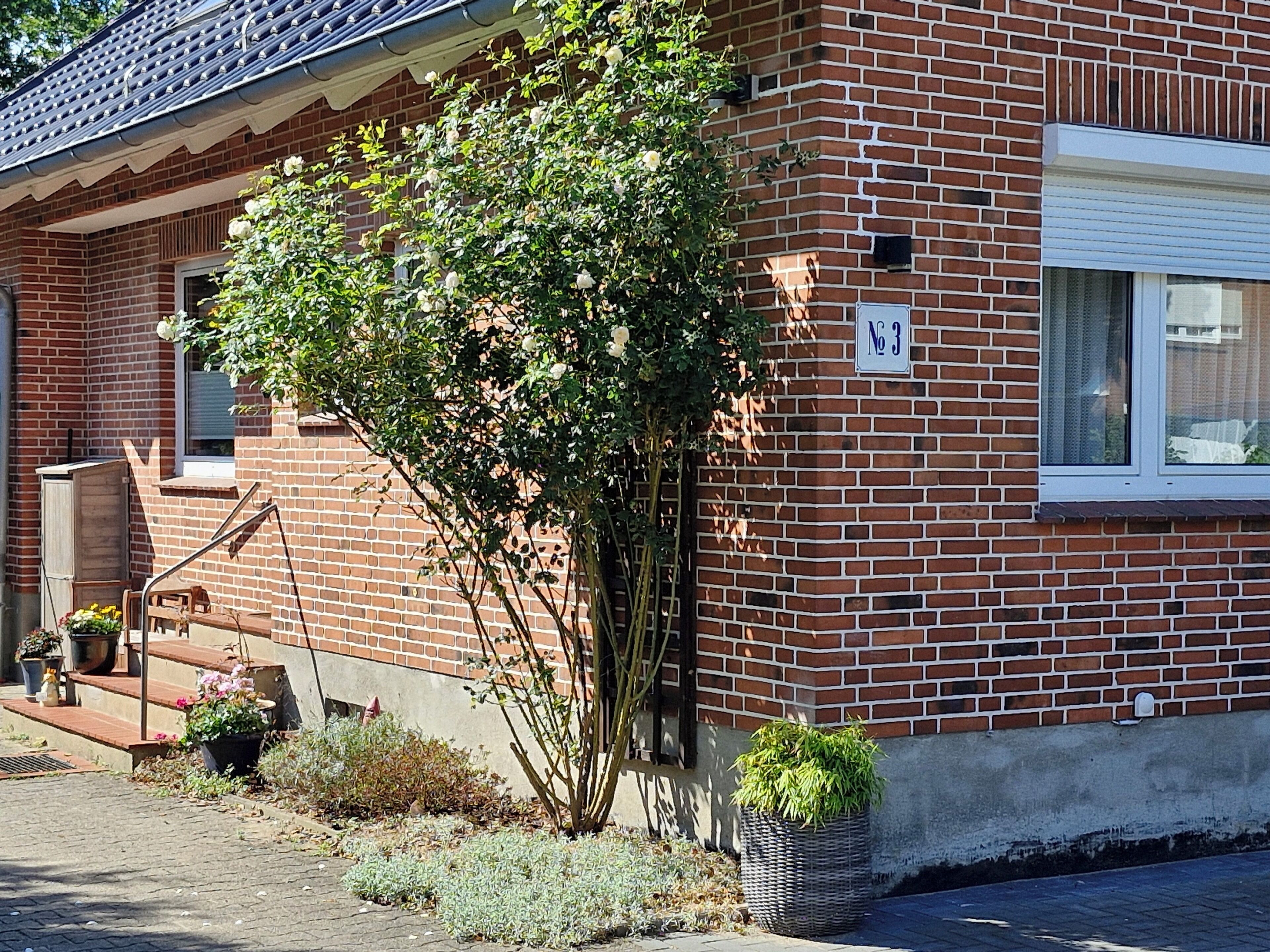 Esterni
