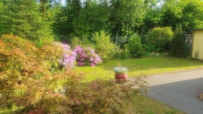 A garden with various plants and a potted plant on the sidewalk.