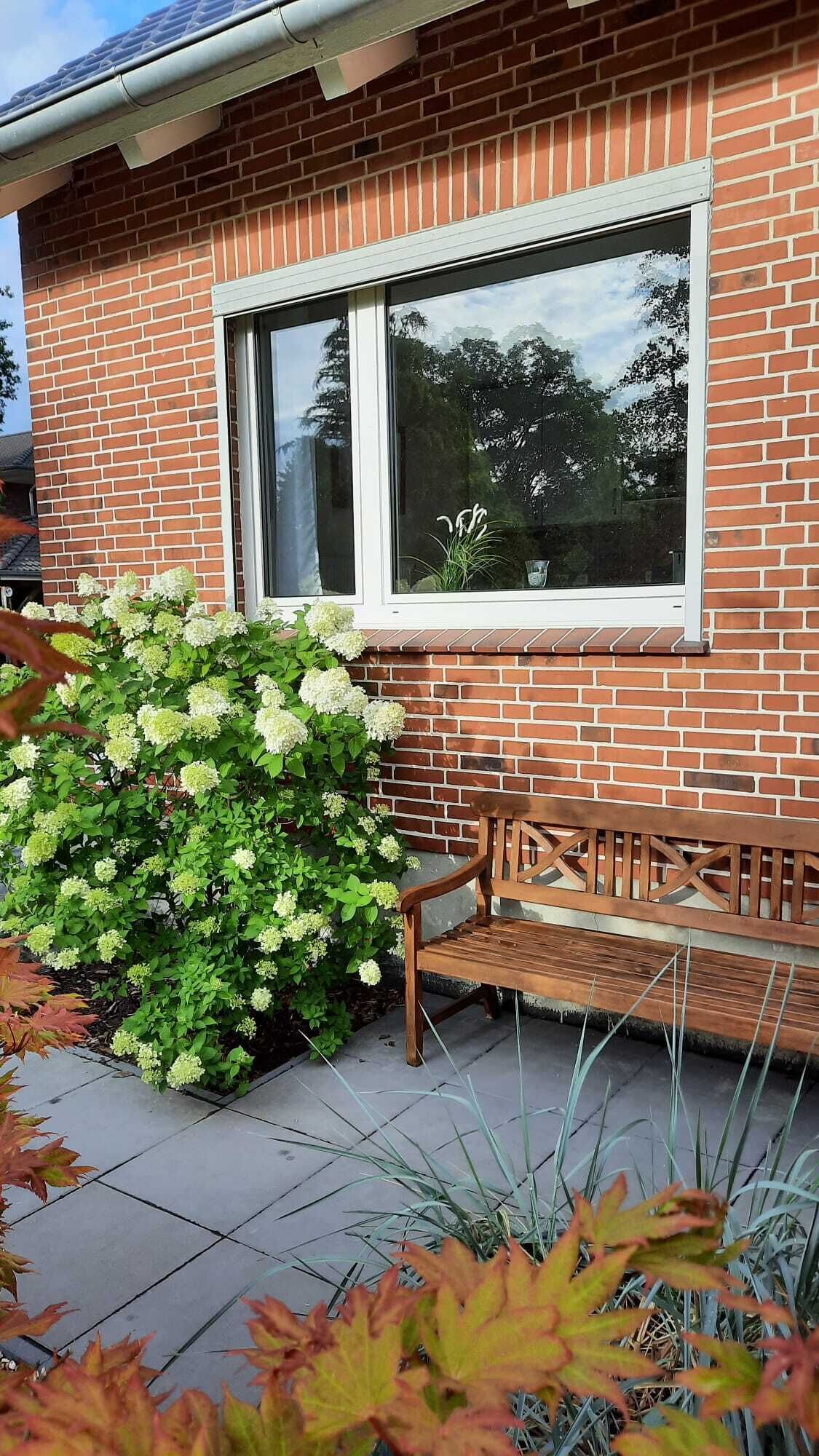 Ein Backsteinhaus mit großem Fenster, einer Bank und einer Hecke mit weißen Blüten.