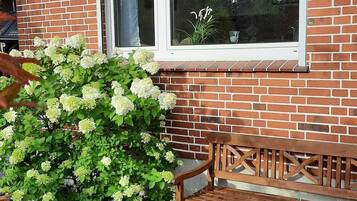 Ein Backsteinhaus mit großem Fenster, einer Bank und einer Hecke mit weißen Blüten.