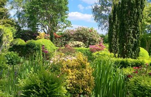 A lush garden with a variety of plants and trees.
