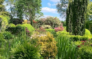 A lush garden with a variety of plants and trees.