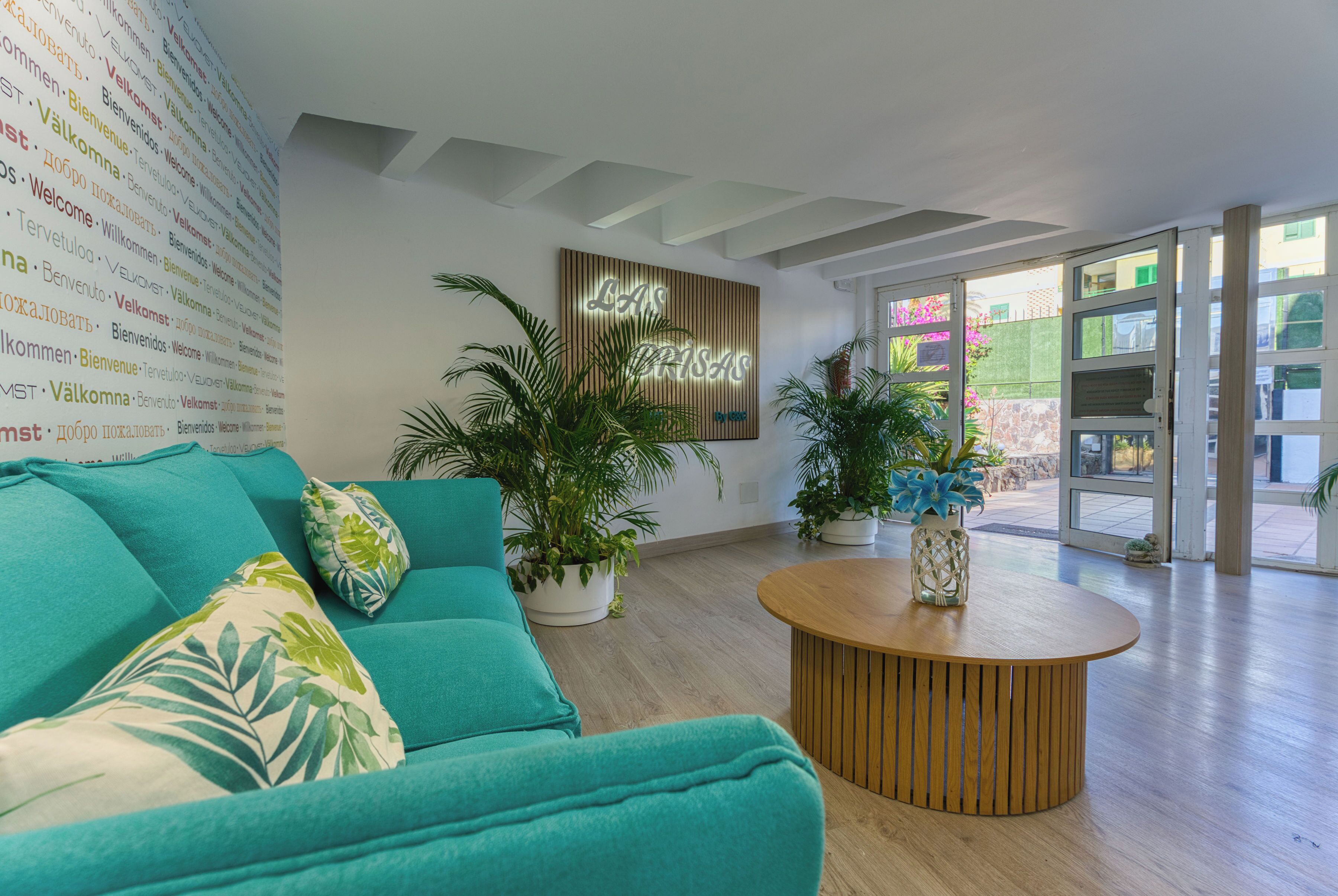 Ein modernes Interieur mit einem türkisfarbenen Sofa, einem Holztisch und Blumentöpfen.