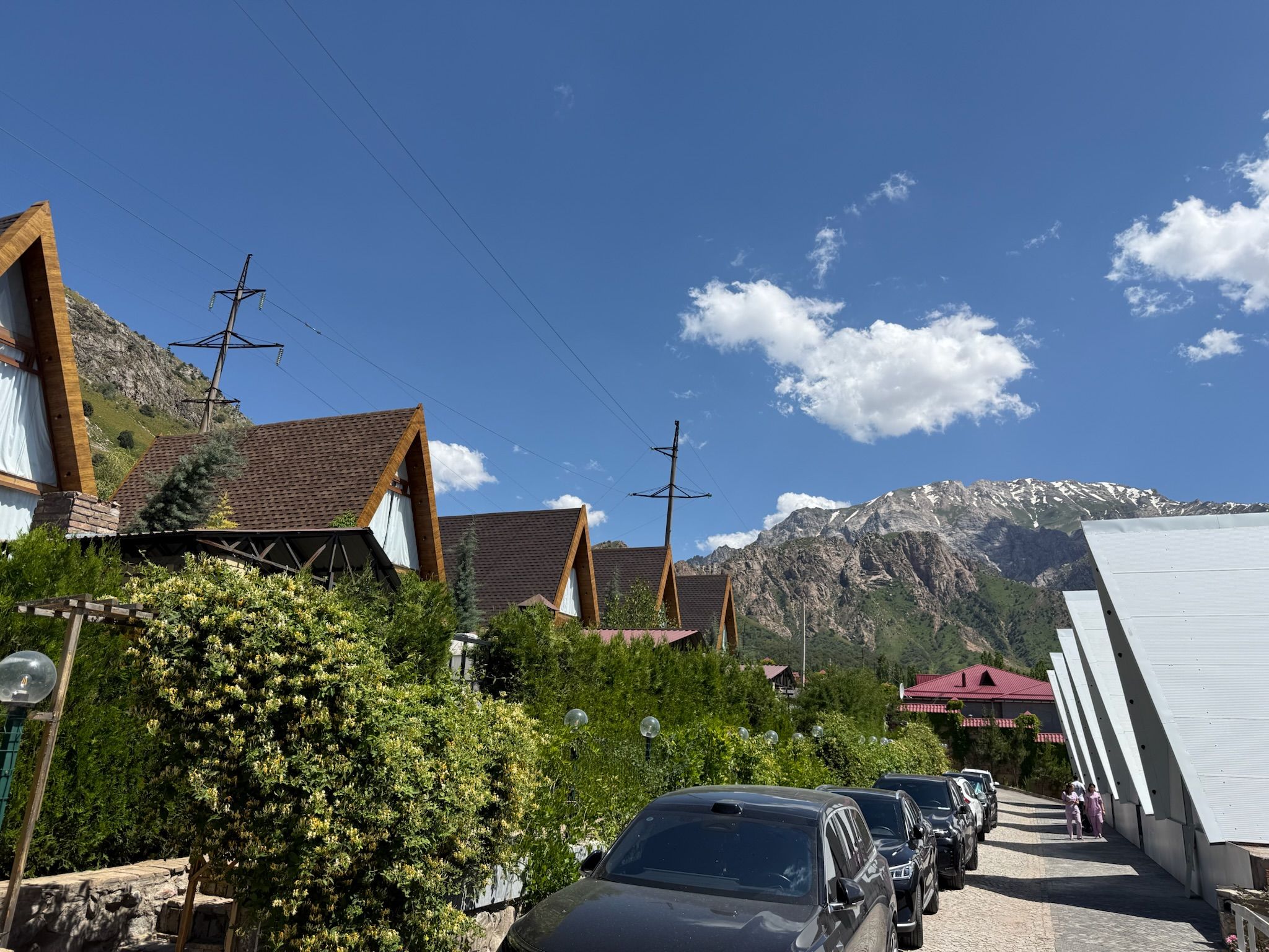 A row of cars parked along a street with houses and a mountain in the background.