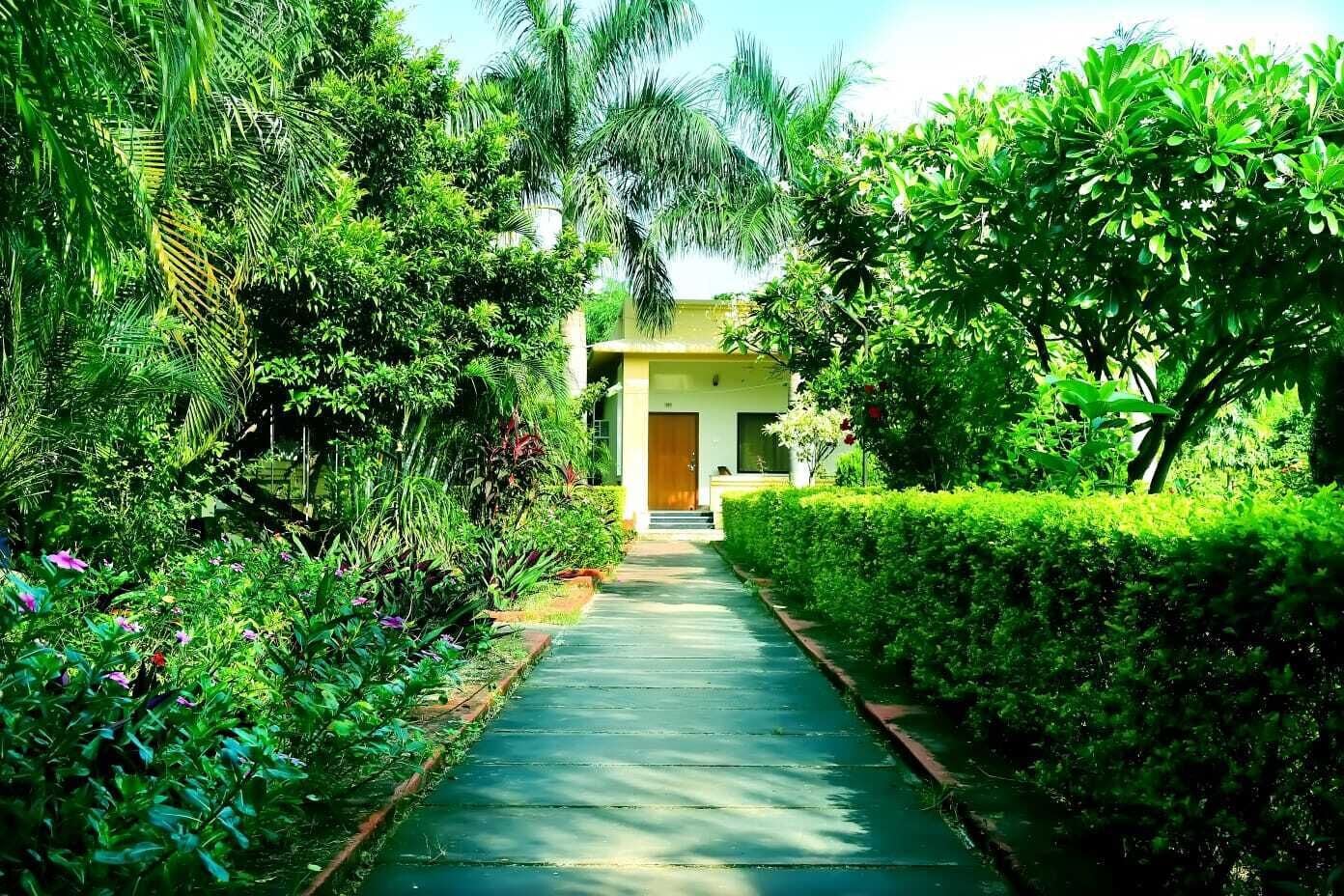 A pathway leading to a building surrounded by lush greenery and various plants.