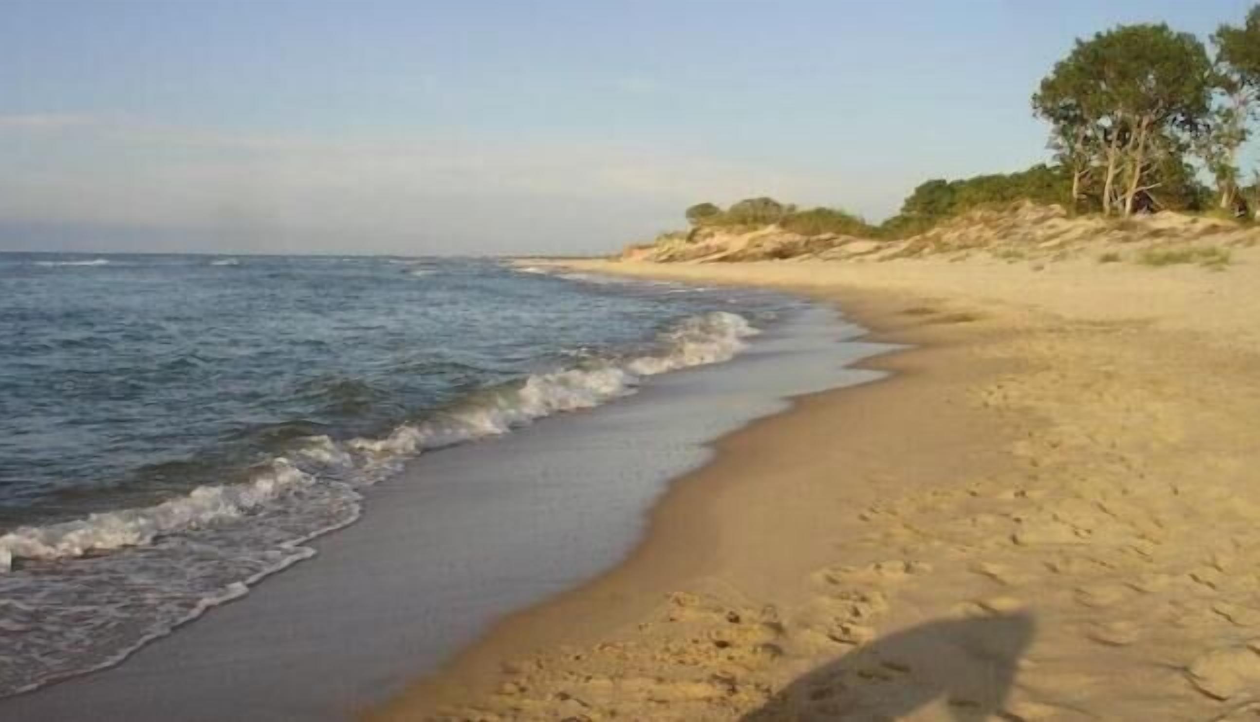 A beach with a sandy shore and gentle waves.