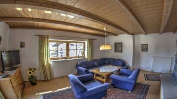 Smart-TV, Kamin