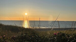 Un coucher de soleil sur une plage, avec de l’herbe et des fleurs sauvages au premier plan.