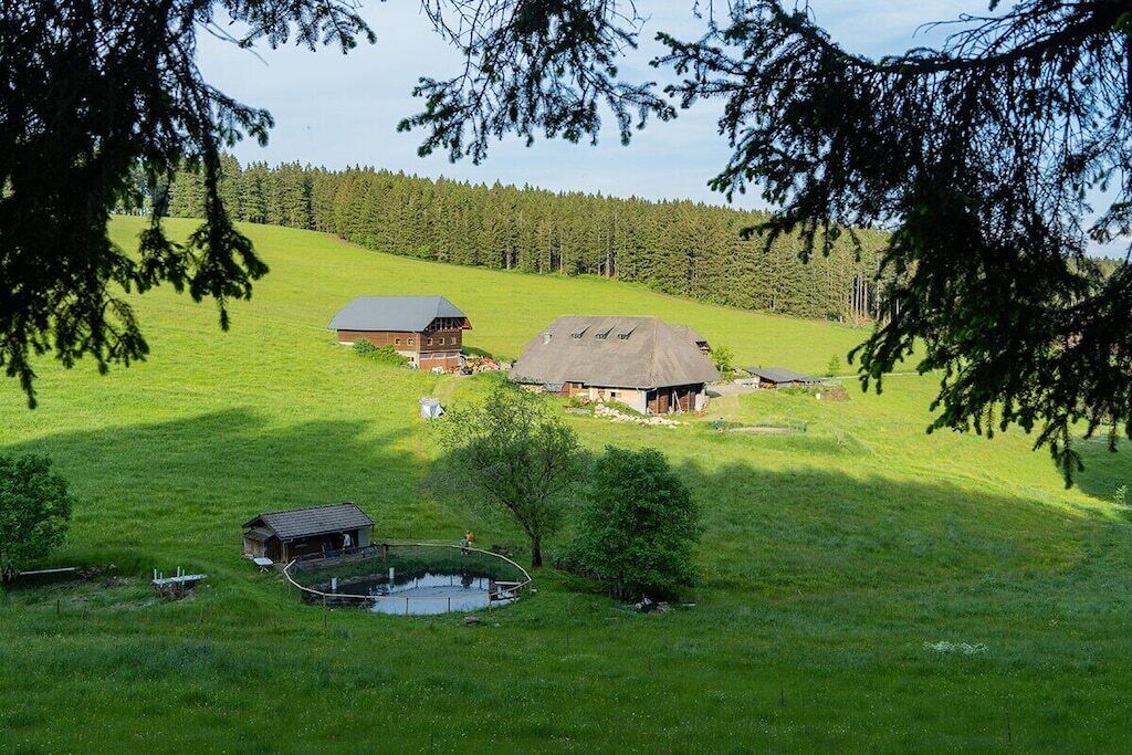 A rural landscape with a large house, a smaller building, and a pond.