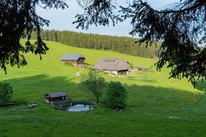 A rural landscape with a large house, a smaller building, and a pond. - 2 Kleinklausenhof Farm (Vöhrenbach)