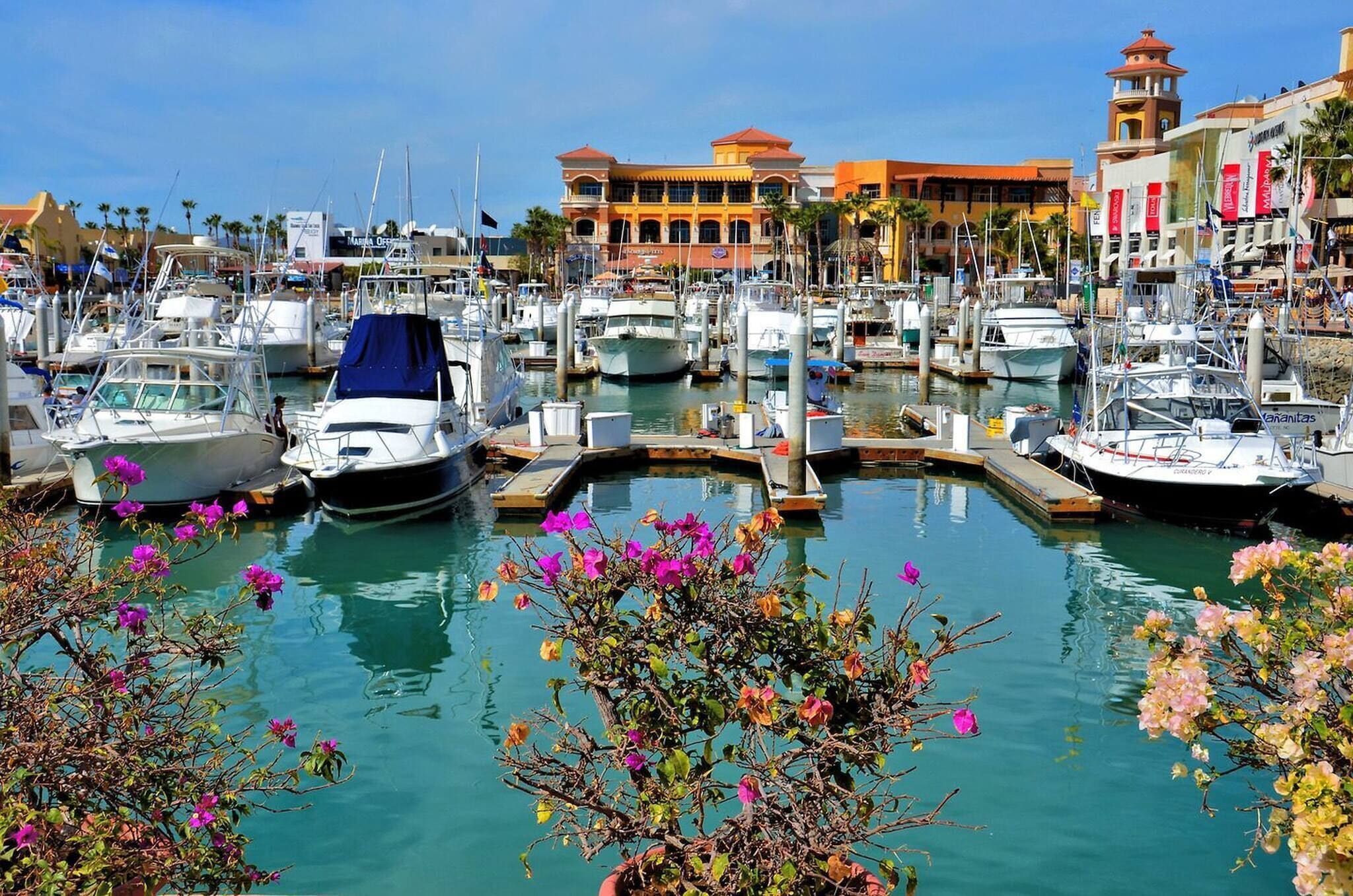 A marina with boats docked, a building with a red roof, and a clear sky.
