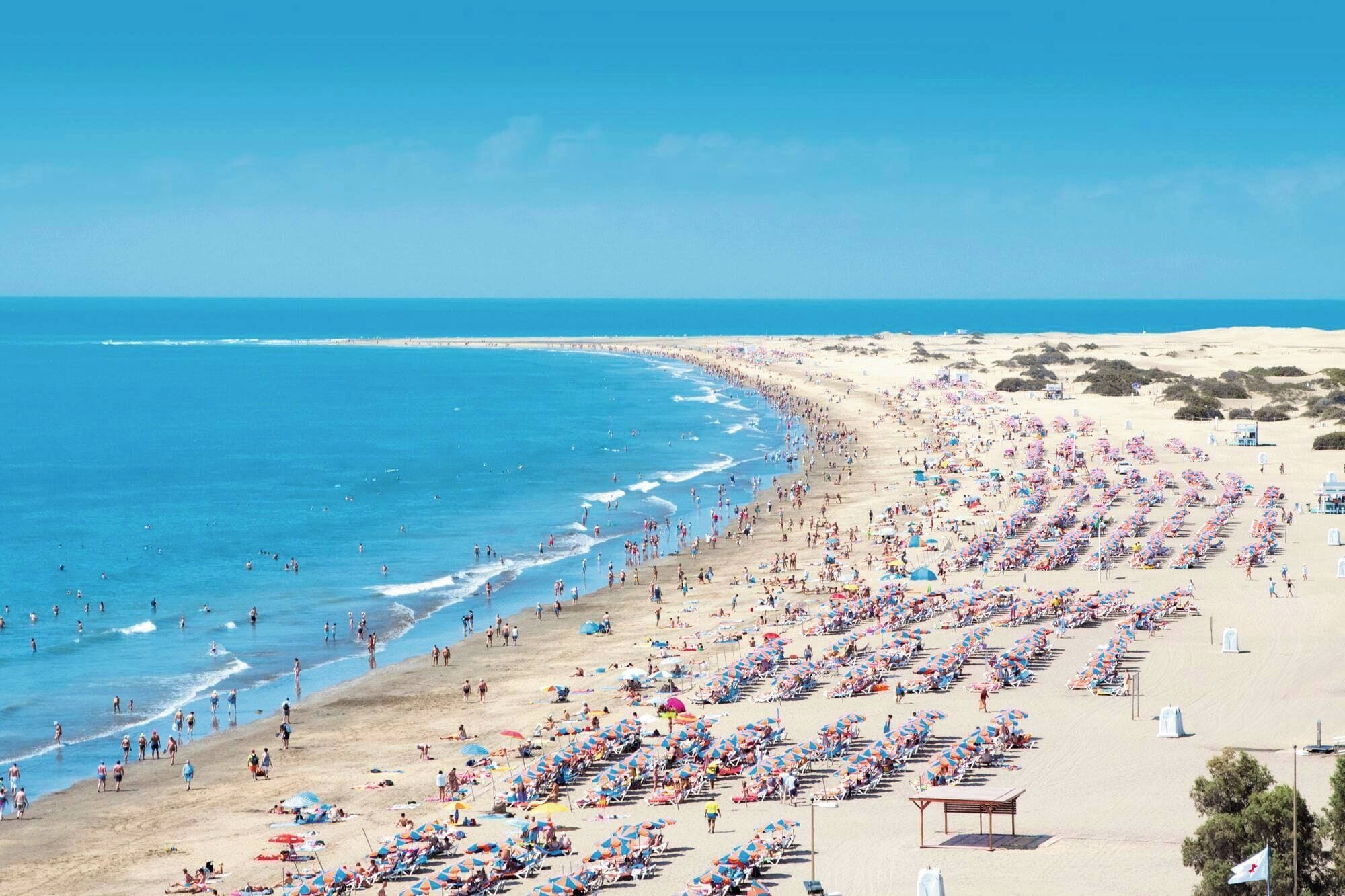 Een strand met rijen ligbedden en parasols, een heldere lucht en de oceaan.