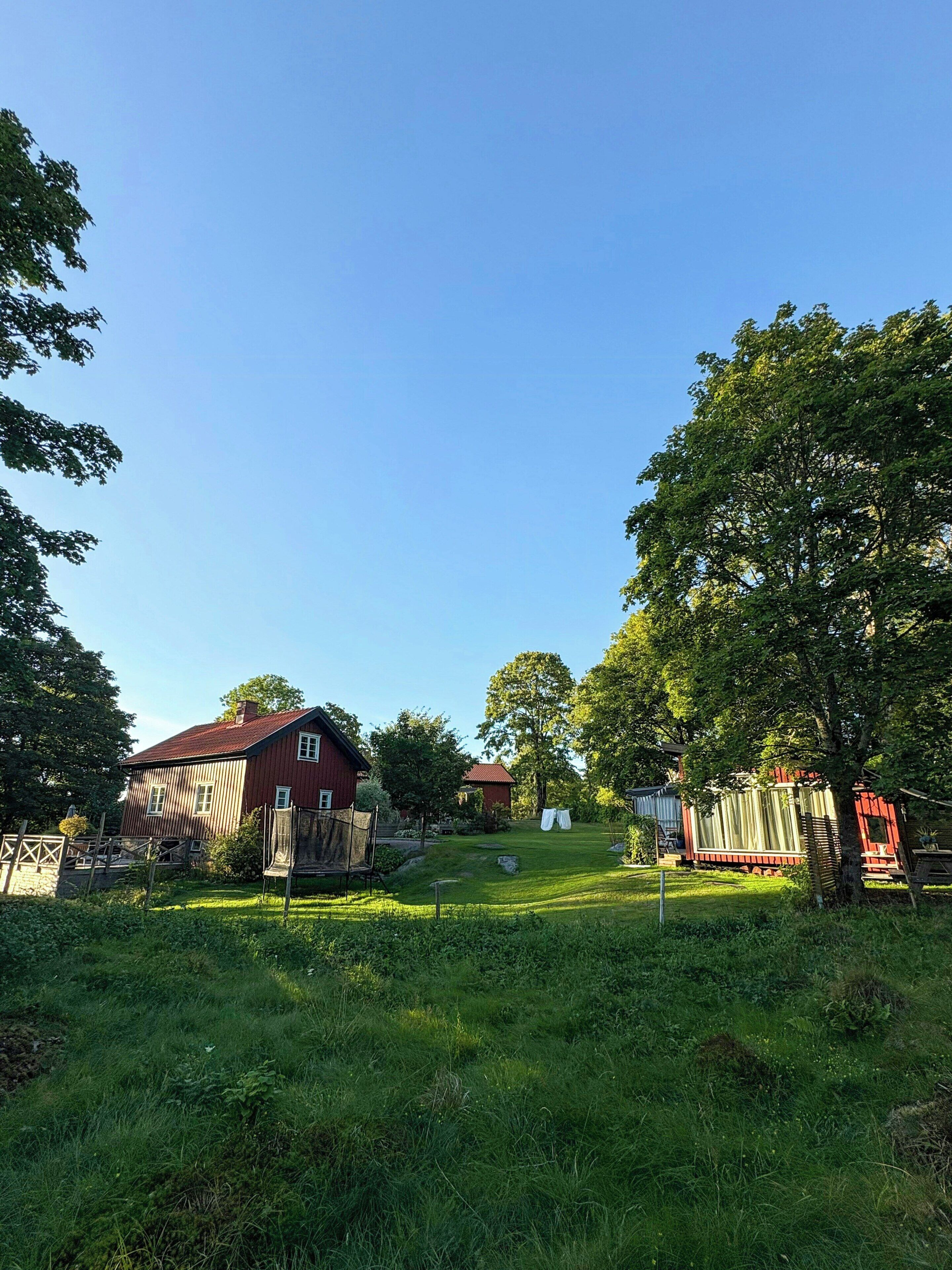 A rural property with a red barn, a fenced yard, and a large tree.