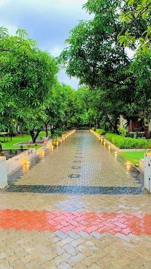 A paved pathway flanked by lush green trees, leading to a building.