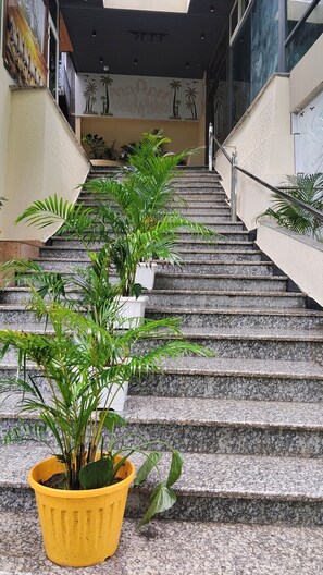 Una escalera con escalones de granito y plantas en macetas en la base.