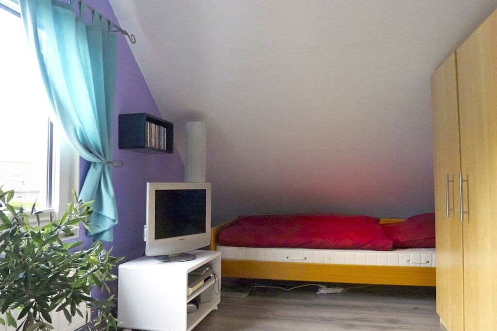 A small room with a bed, a television on a stand, a plant, and a window with curtains.
