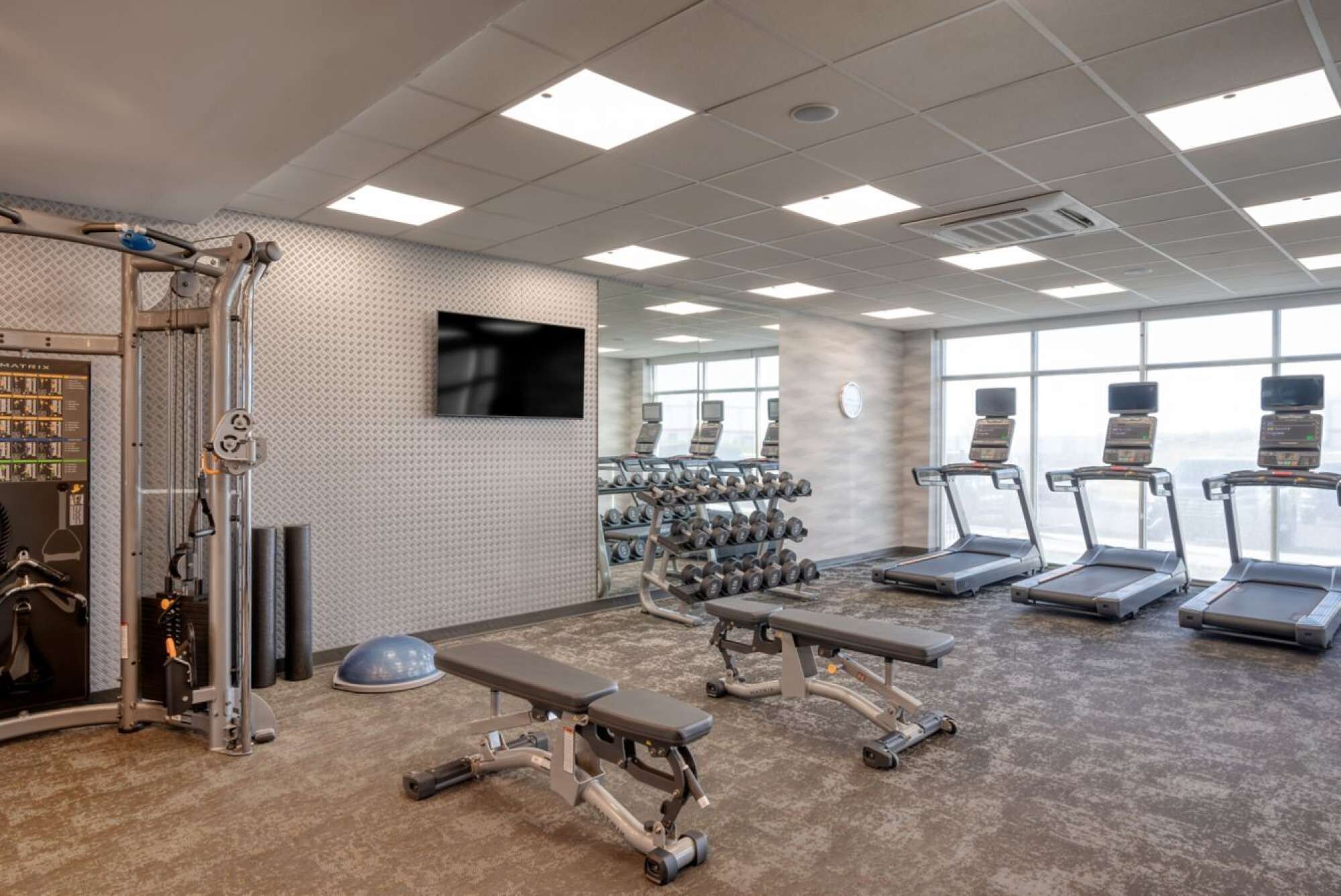 A gym with treadmills, dumbbells, and weight machines.