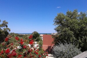 A view of a coastal area with red flowering plants, a red building, and a clear blue sky. - Les Terrasses de la Mer No. 03 (Saint Pierre la Mer)