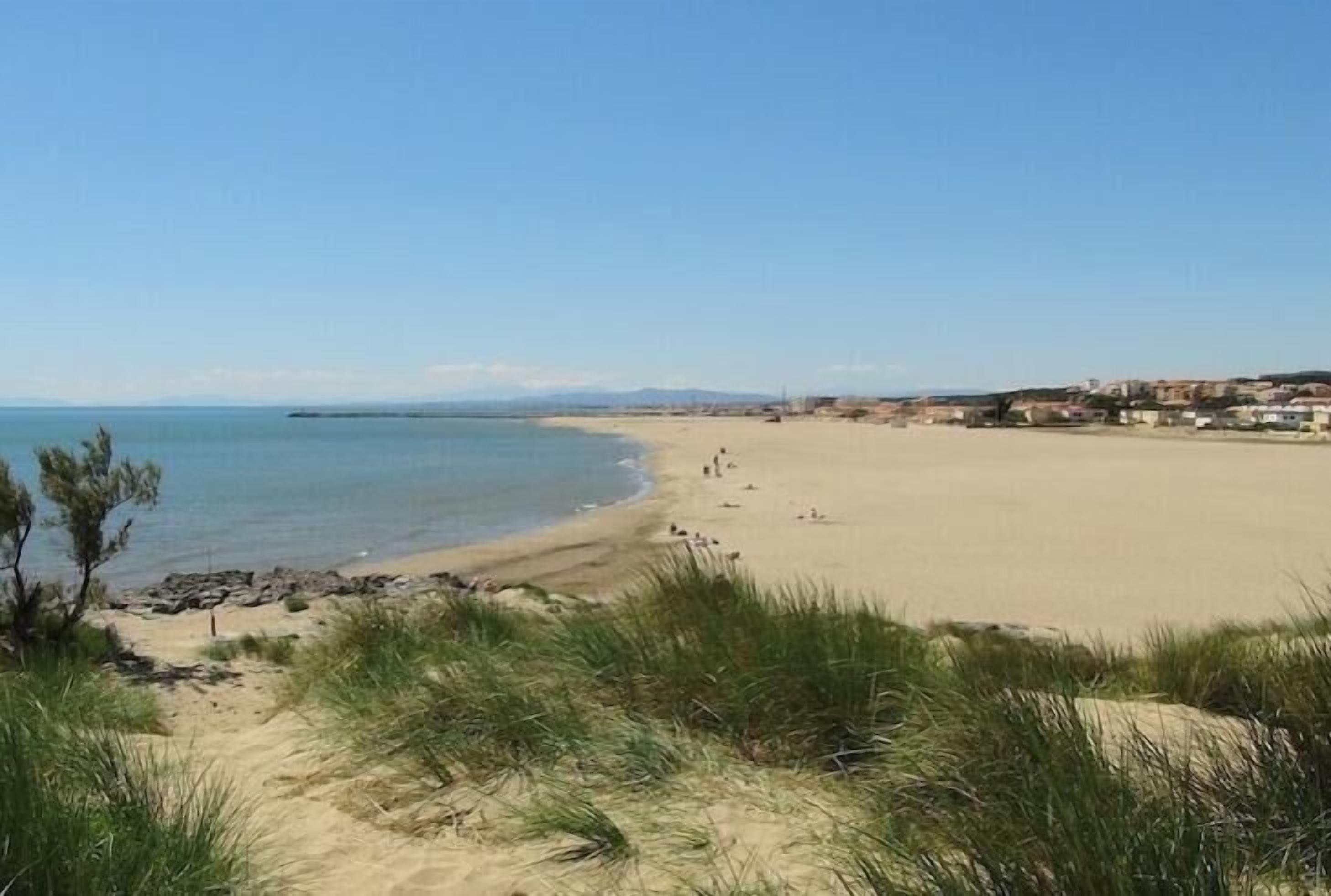 A beach with a clear sky, sandy shore, and sparse vegetation.