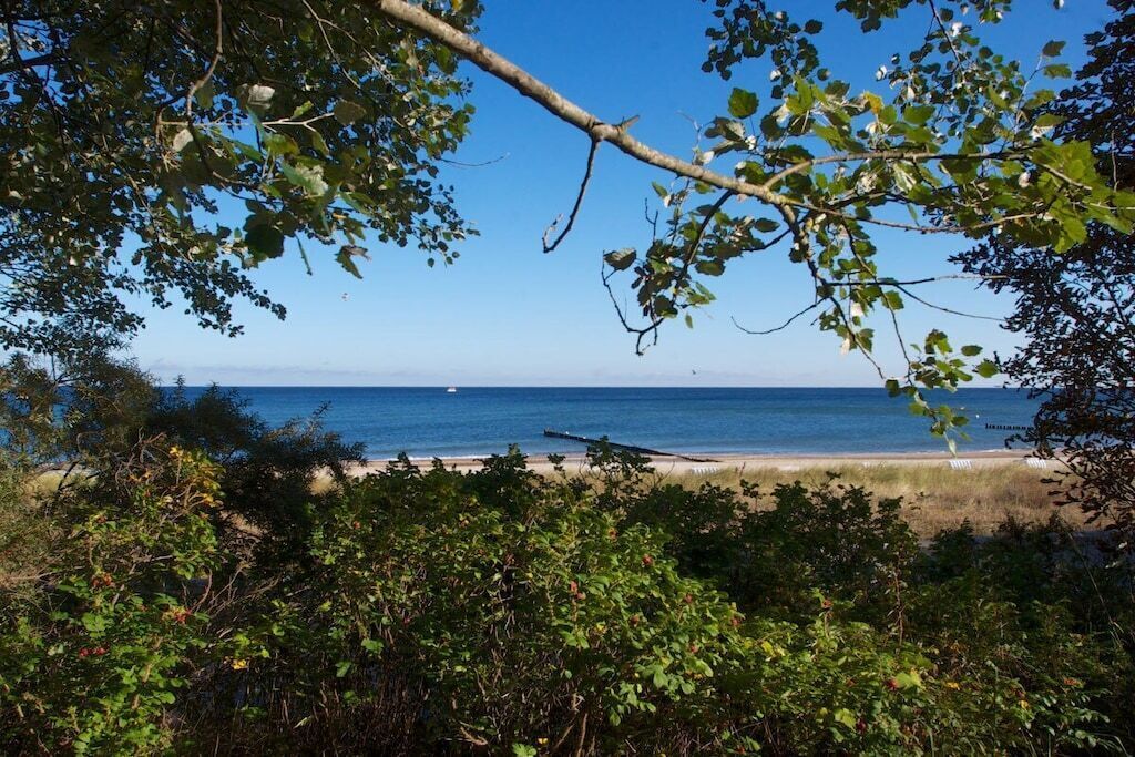 Ein Strand mit freiem Blick auf den Ozean, umgeben von dichter Vegetation.