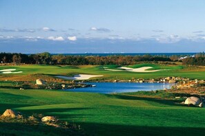 A golf course with sand bunkers, a pond, and a view of the ocean. - Holiday apartment with 1 bedroom (Kühlungsborn)