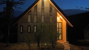 Une maison moderne avec un toit en pente, de grandes fenêtres et une entrée bien éclairée.