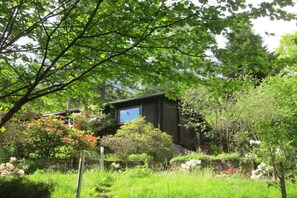 A house surrounded by lush greenery and a small pond. - Holiday home Berghaus (Reinhardshagen)