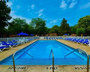 A swimming pool with blue water, surrounded by lounge chairs and umbrellas, with a clear sky above. - Buckeye Island Paradise (Put-in-Bay Township)