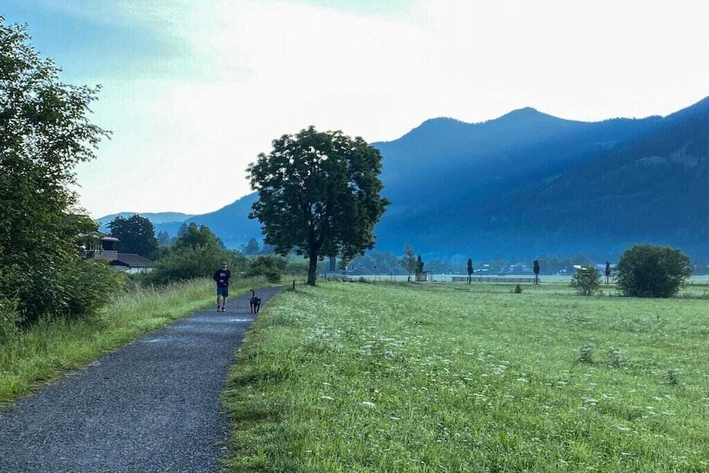 En grusgång med en person och en hund, omgiven av gräs och träd, som leder upp mot ett berg.
