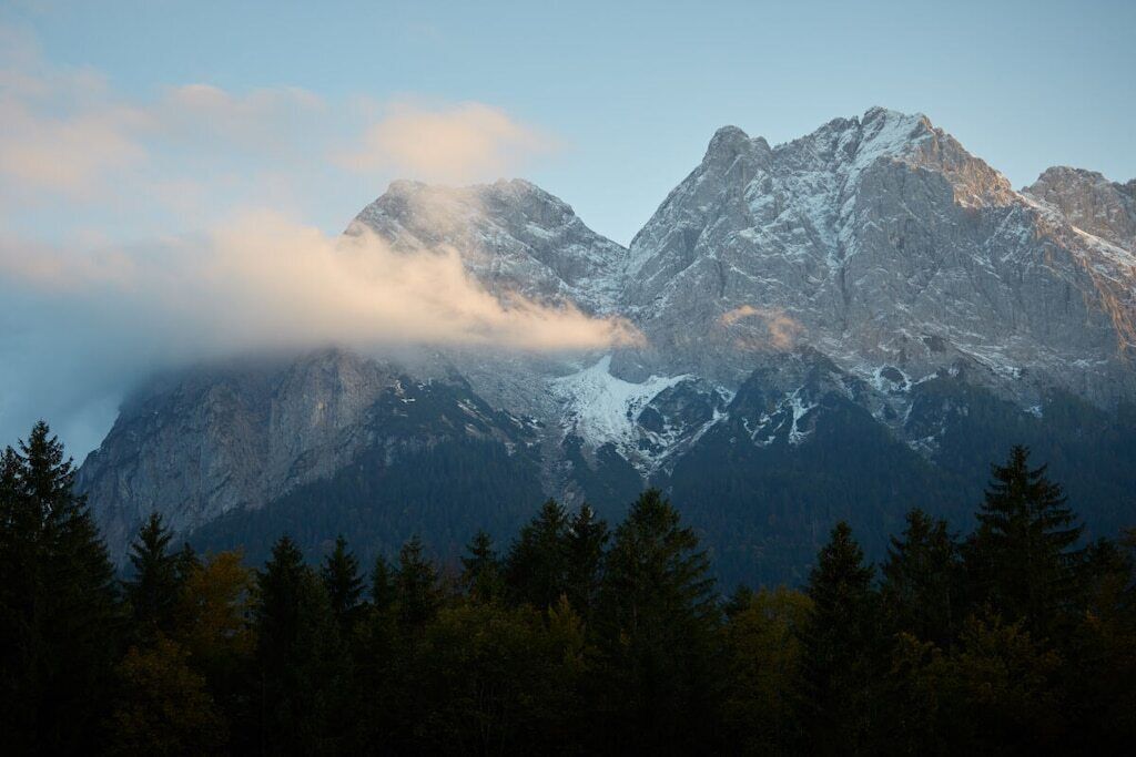 Une chaîne de montagnes aux sommets enneigés, avec une forêt en premier plan.