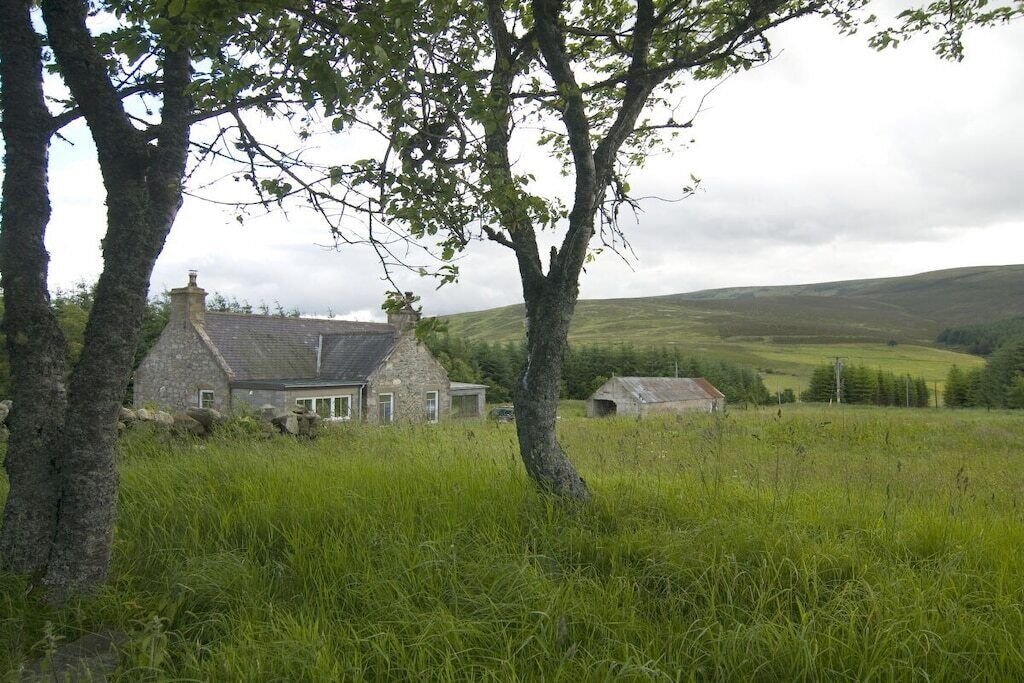 A stone house with a sloped roof, surrounded by grass and trees.
