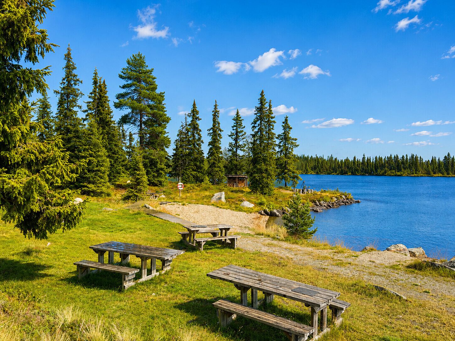 Un espace de pique-nique au bord du lac, équipé de bancs en bois et d’un petit abri.