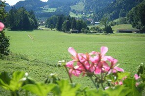 Un paysage rural avec un champ verdoyant, des arbres et quelques bâtiments visibles au loin.