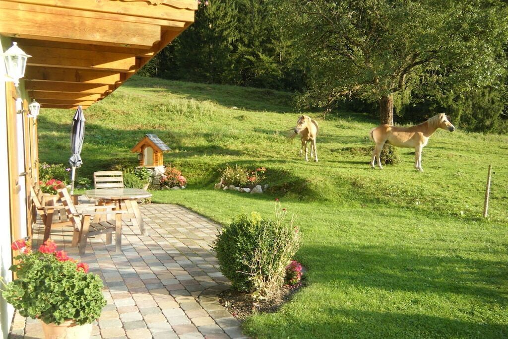 Une terrasse dotée d’une pergola en bois, de mobilier d’extérieur et d’un petit jardin agrémenté d’une nichoir.