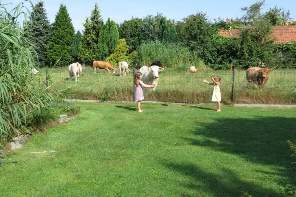 Eine begrünte Außenanlage mit Zaun, Bäumen und einem Gebäude im Hintergrund.