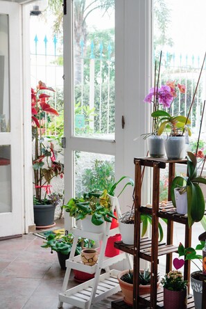 A room with a glass door leading to a balcony, a wooden plant stand, and various potted plants.