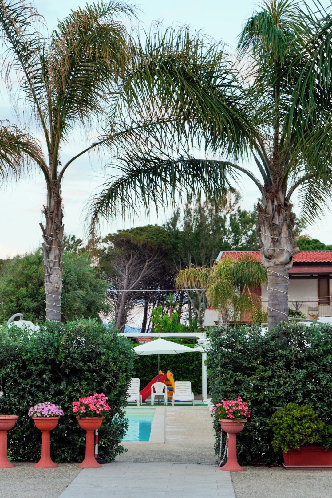 A pool area with a slide, surrounded by palm trees and potted plants.