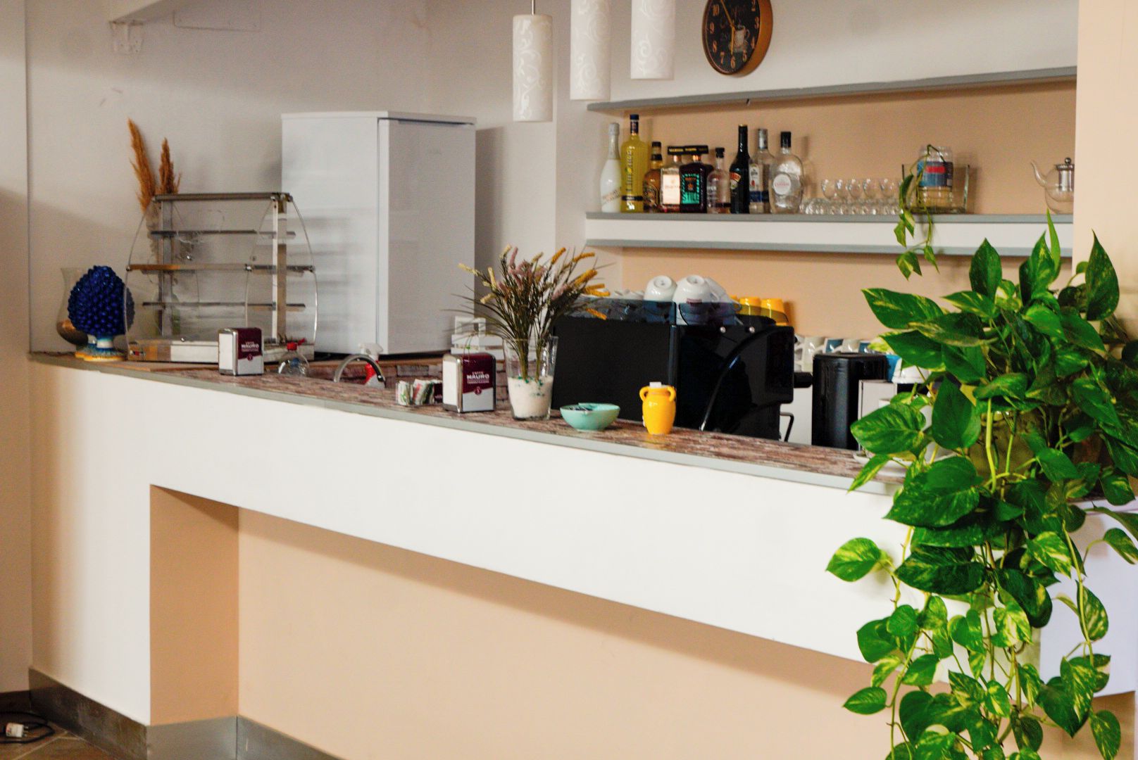 Una encimera de cocina con varios objetos, incluyendo una cafetera, una planta y electrodomésticos.